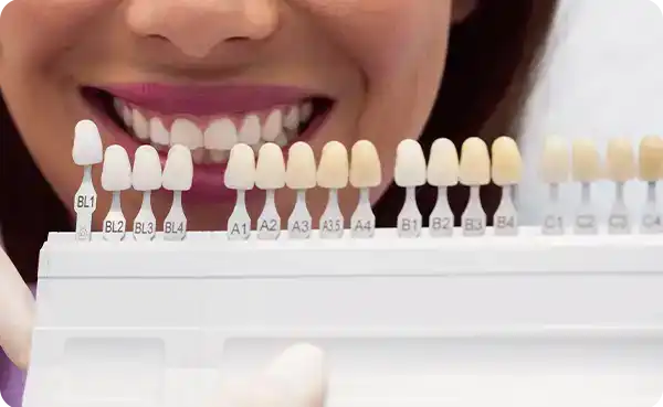 Zirconium Crowns